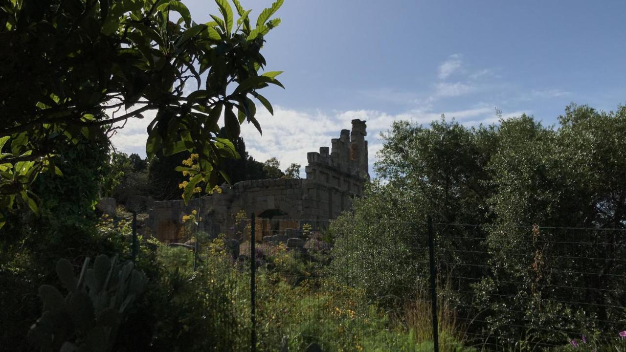 A Casa Di Peppino Villa Greco Tindari Exterior photo